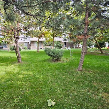 Airport Residence Studio 401 Otopeni Εξωτερικό φωτογραφία